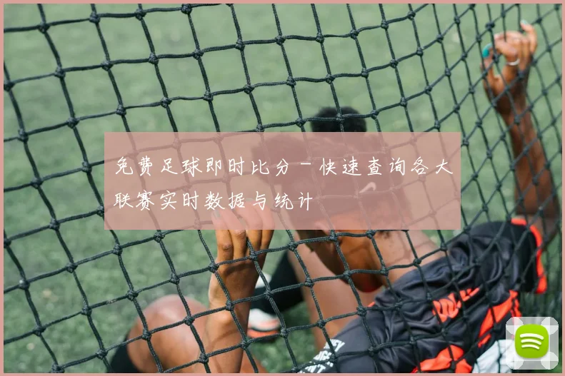 免费足球即时比分 - 快速查询各大联赛实时数据与统计